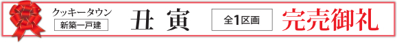 丑寅